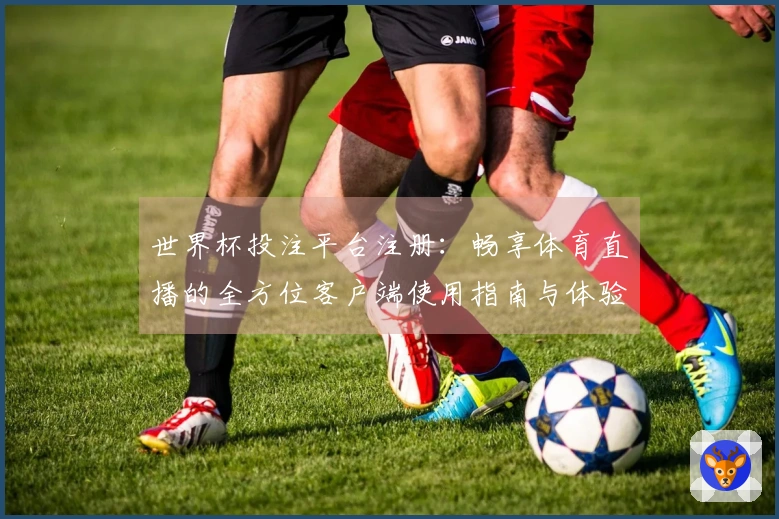 世界杯投注平台注册：畅享体育直播的全方位客户端使用指南与体验分享