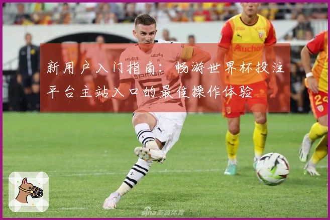 新用户入门指南：畅游世界杯投注平台主站入口的最佳操作体验