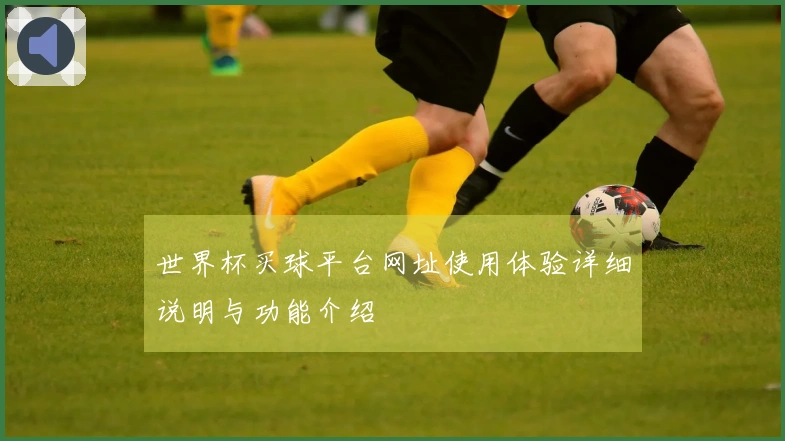 世界杯买球平台网址使用体验详细说明与功能介绍