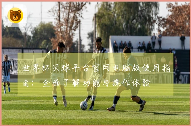 世界杯买球平台官网电脑版使用指南：全面了解功能与操作体验