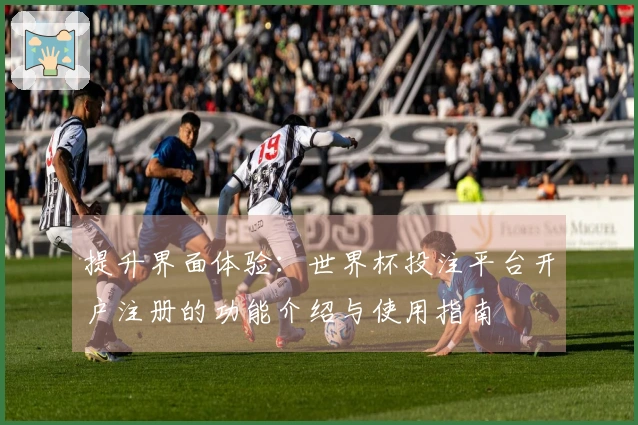 提升界面体验：世界杯投注平台开户注册的功能介绍与使用指南