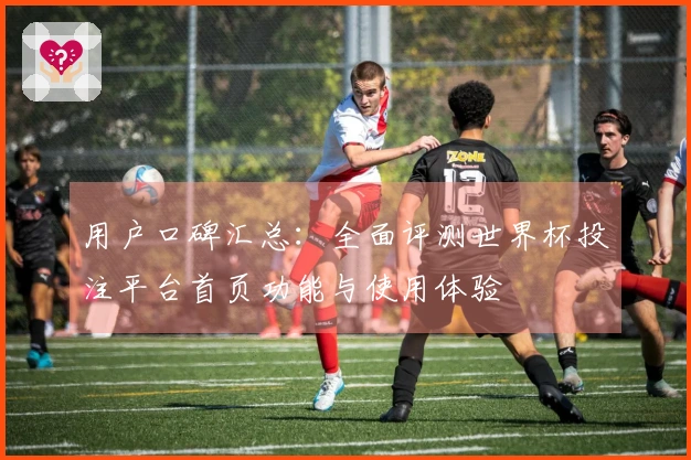 用户口碑汇总：全面评测世界杯投注平台首页功能与使用体验