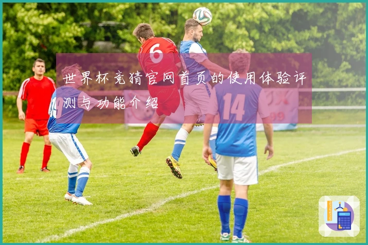 世界杯竞猜官网首页的使用体验评测与功能介绍