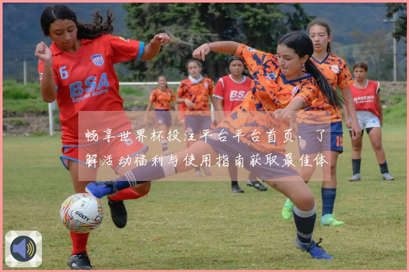 畅享世界杯投注平台平台首页，了解活动福利与使用指南获取最佳体验